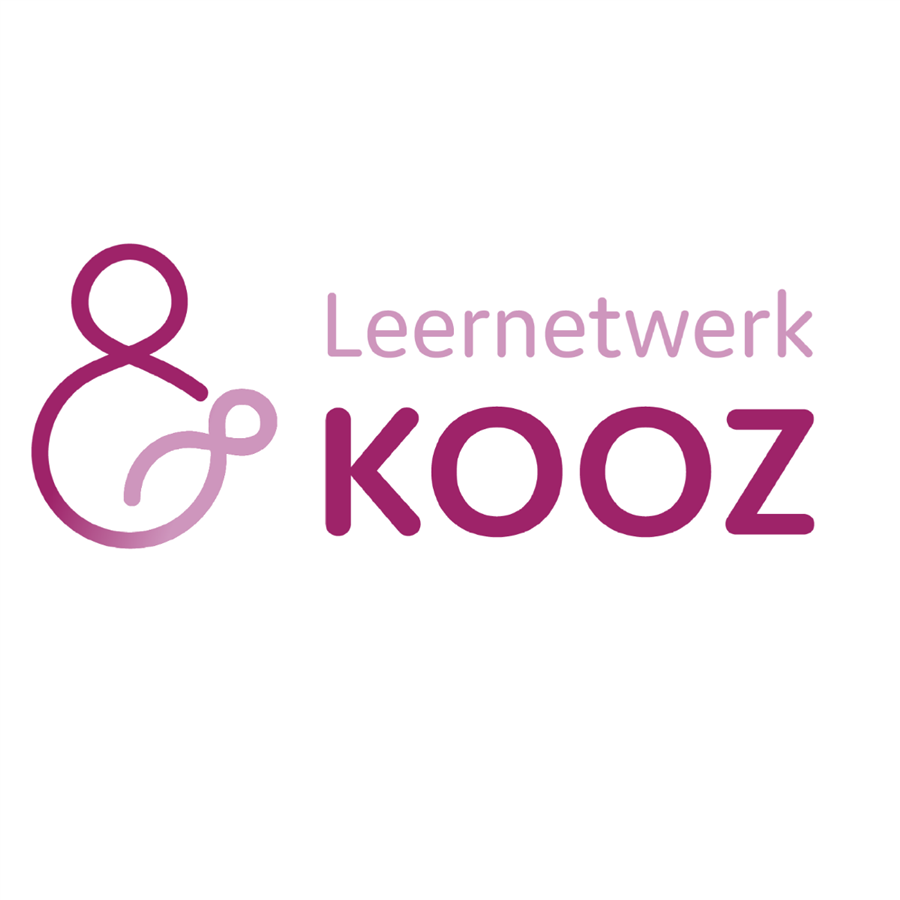 Bericht Krachten bundelen in de Schilderswijk: Samen werken aan diversiteitssensitieve geboortezorg bekijken